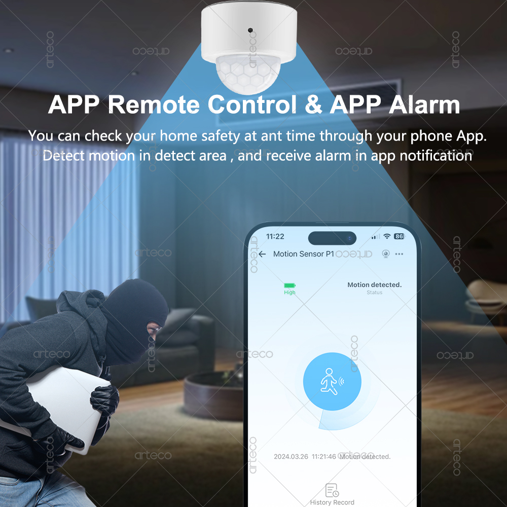 Ewelink Zigbee PIR-Bewegungsse – Home Security Alexa Bewertung und Preis