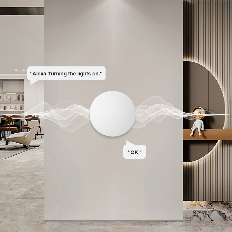ZigBee Smart Wireless-Tastensc – Home Security Alexa Bewertung und Preis