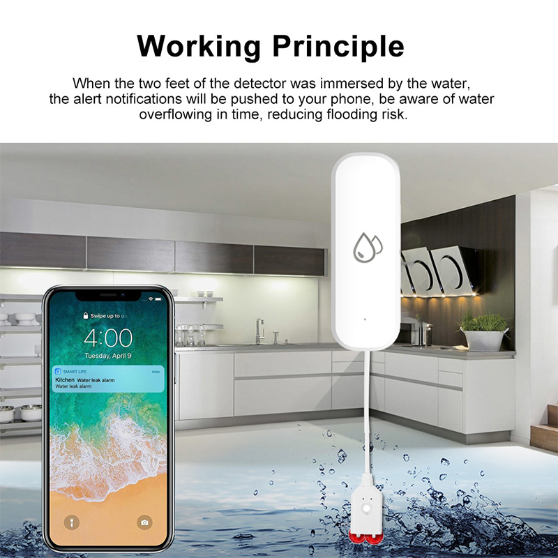 Tuya WLAN-Wasserleck-Alarmsens – Home Security Alexa Bewertung und Preis