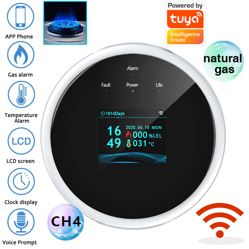 2,4G WiFi Gasalarm-Sensor, Det – Home Security Equipment Bewertung und Preis
