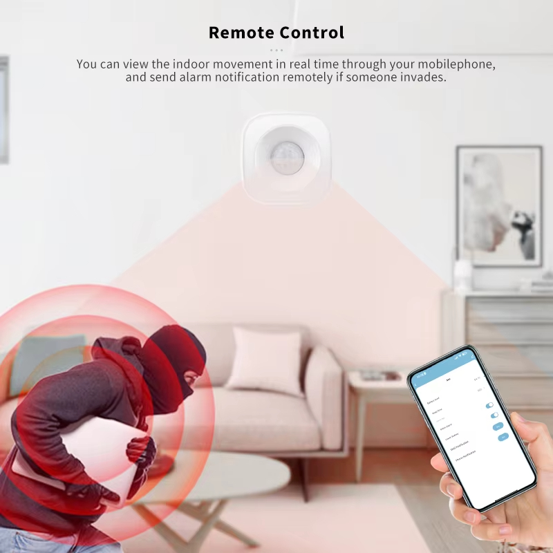 Tuya ZigBee/WiFi PIR Motion Se – Home Security Alexa Bewertung und Preis