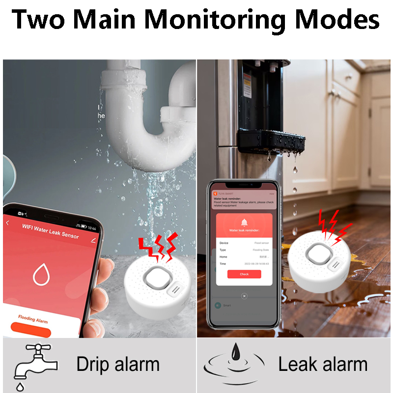 Intelligenter Wasserleck-Detek – Home Security Options Bewertung und Preis
