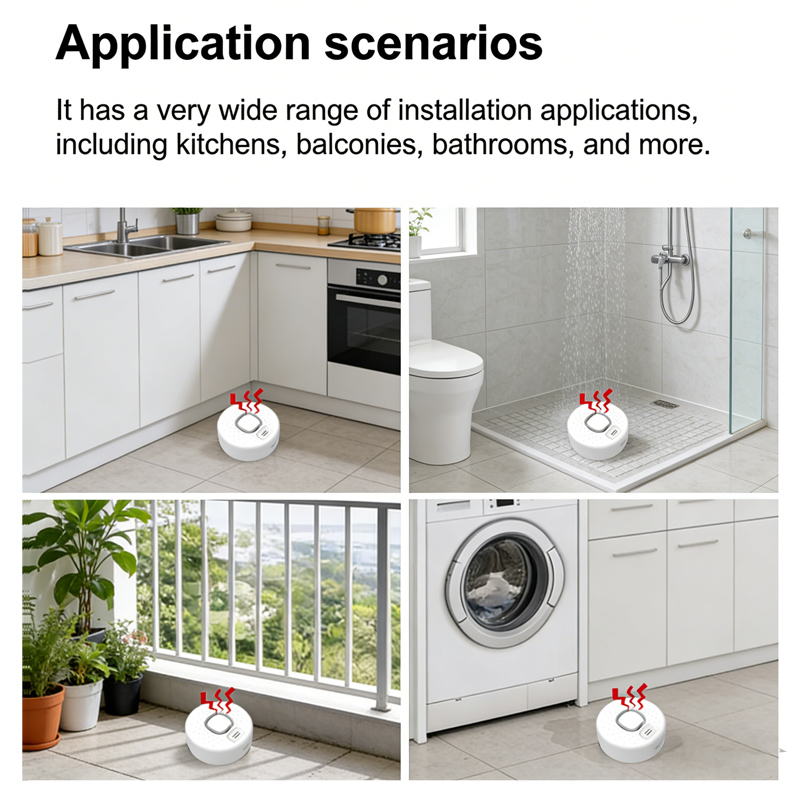 Intelligenter Wasserleck-Detek – Home Security Options Bewertung und Preis