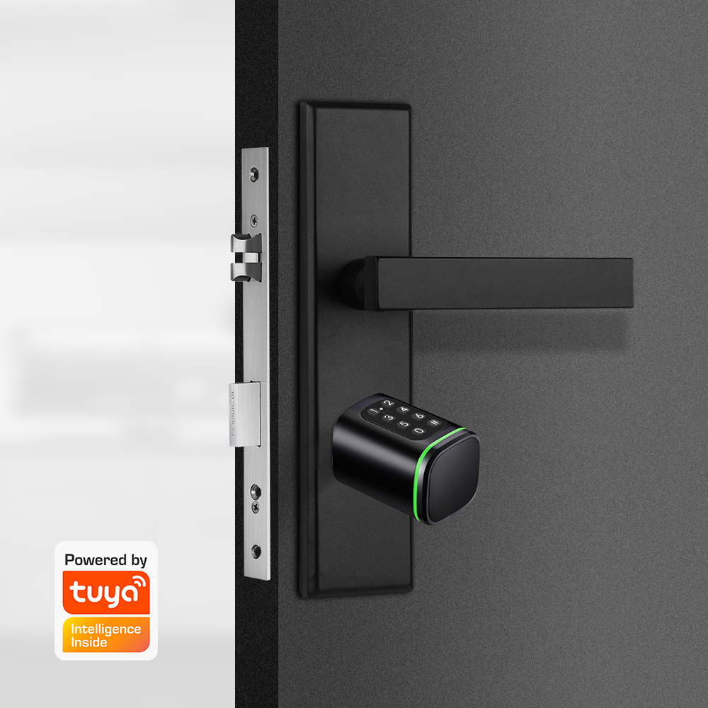 Smart Zylinder Schloss Tuya 60 – Home Security Essential Bewertung und Preis